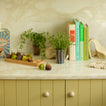Kitchen counter vignette with figs, plants, and bookends.