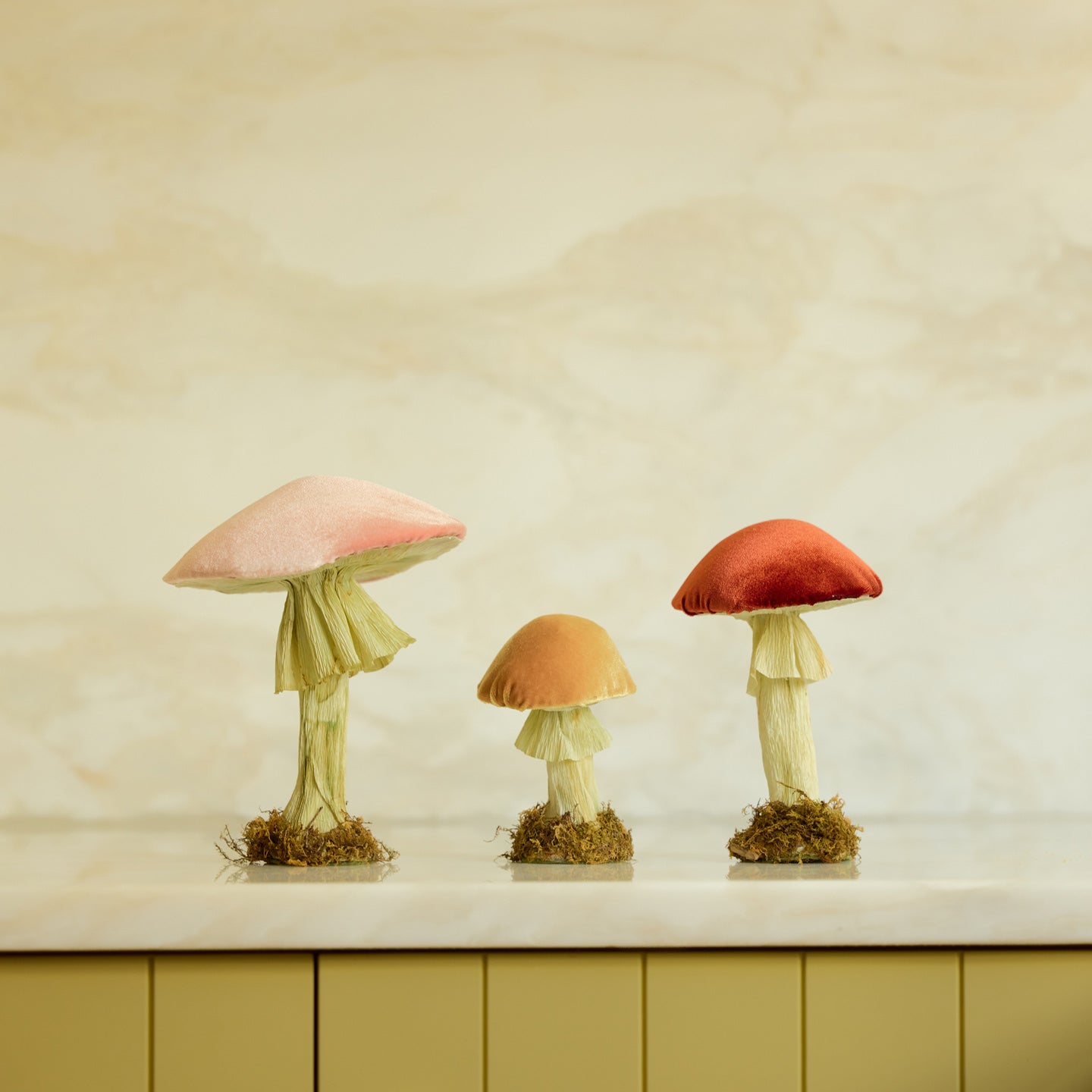 Velvet mushrooms on table