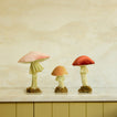 Velvet mushrooms on table