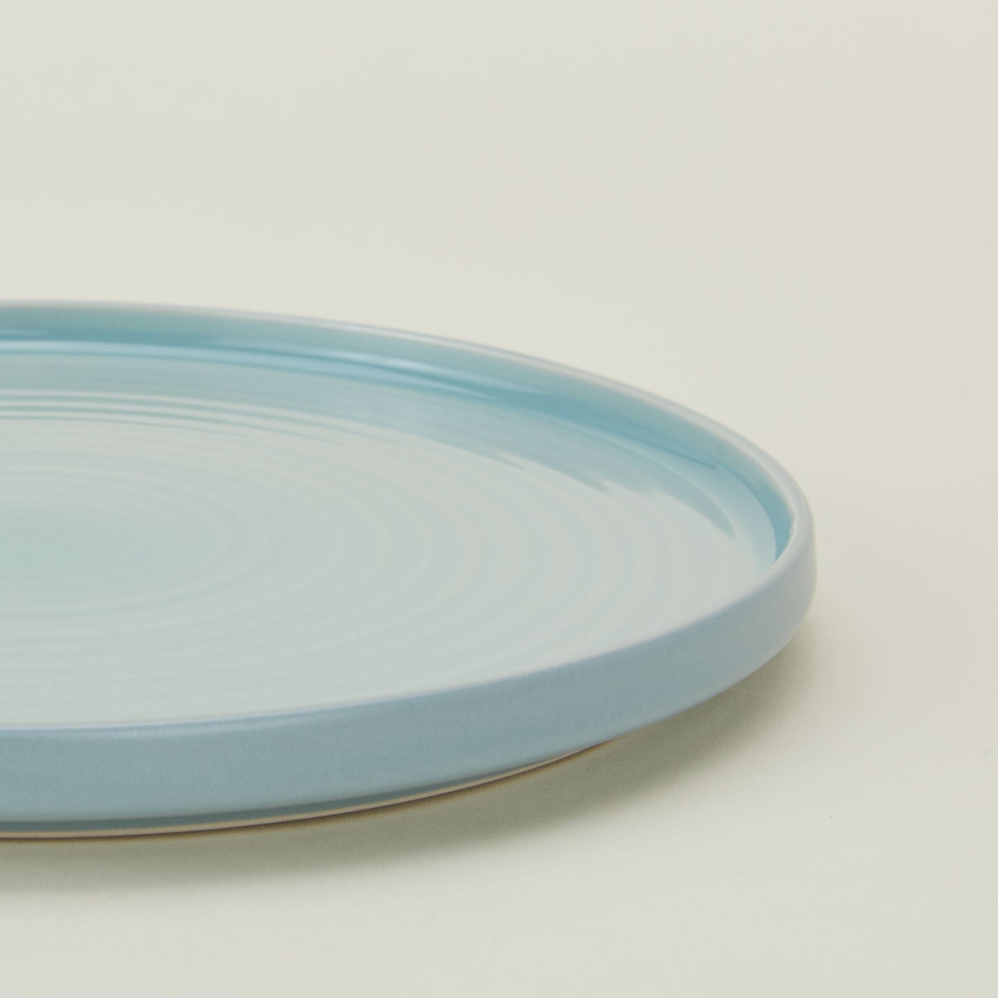 Close up of Essential Dinner Plate in Sky.