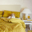 Essential Gingham Bedding in Mustard on bed with dog and nightstand with Essential Glass Pitcher and glass in Amber.