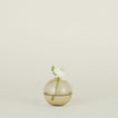 Small aurora sphere vase in smoke with flowers