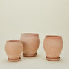 Delphi Pot