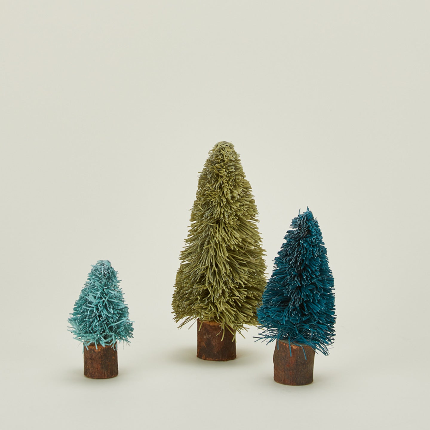 Bottlebrush tree set in cool