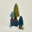 Bottlebrush tree set in cool