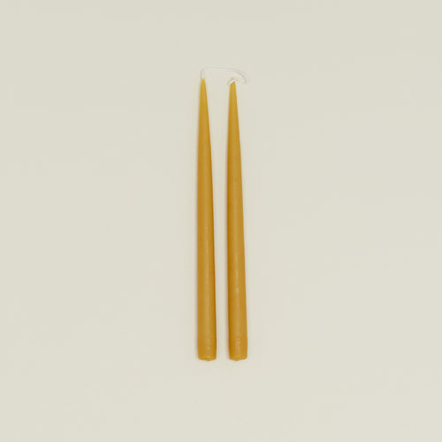 Danica taper candle pair in honey
