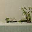 Table setting with a glass, bowl, and decorative plants on a neutral background