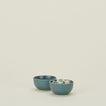 Set of 2 essential dinnerware extra small bowls in peacock with cheese