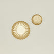 Overhead view of large and small brass petal plates