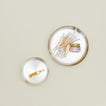 Overhead view of small and medium round silver plate with nail clippers in the small, and cotton swabs and lip balm in the large