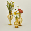 Amber glass vase family