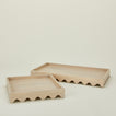 Scallop tray family
