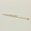 Close up view of single steak knife