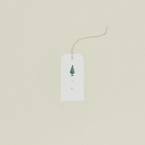 Spruce Gift Tag, Set of 10