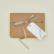 Snowflakes Gift Tag on present