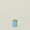 Scalloped Match Striker - Baby Blue