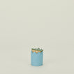 Scalloped match striker in baby blue