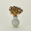 Lovejoy Farms Dried Blackberry Lilies in essential vase