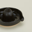 Detailed view of Citrus Juicer in black
