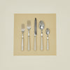 Pop 5-Piece Place Setting - Khaki