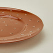 Close up view of Dotty dinnerplate