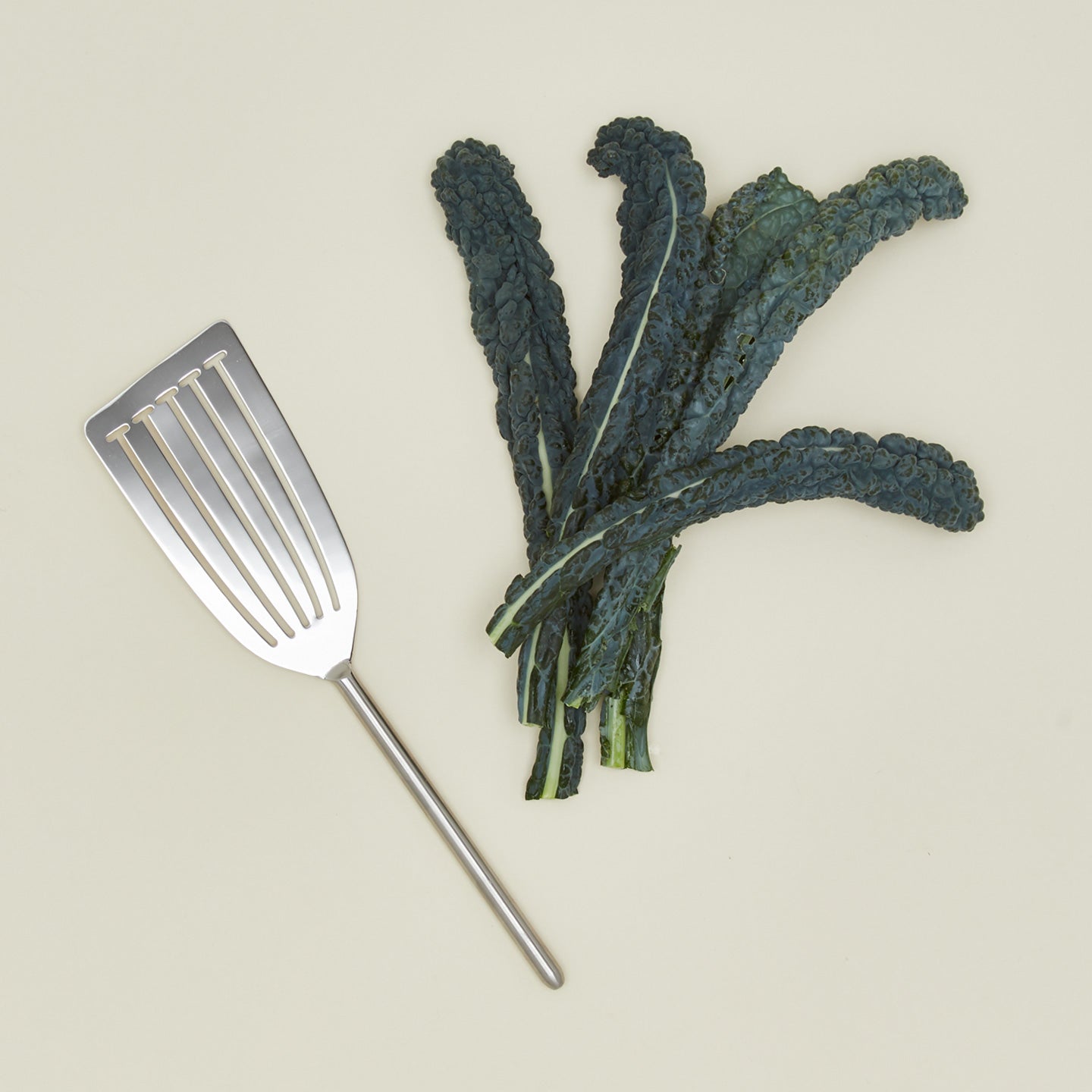 Simple metal fish spatula in silver with vegetables