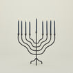 Hannukah candles in menorah