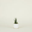 Minimal Planter