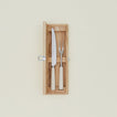 Ivory Carving Set