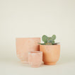 Footed Planter - Terracotta